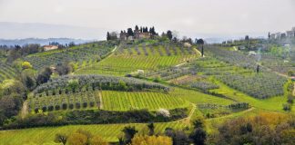 Gita Fuori Porta in Camper: 4 Borghi Toscani da Scoprire dal 2 all’8 Giugno 2026