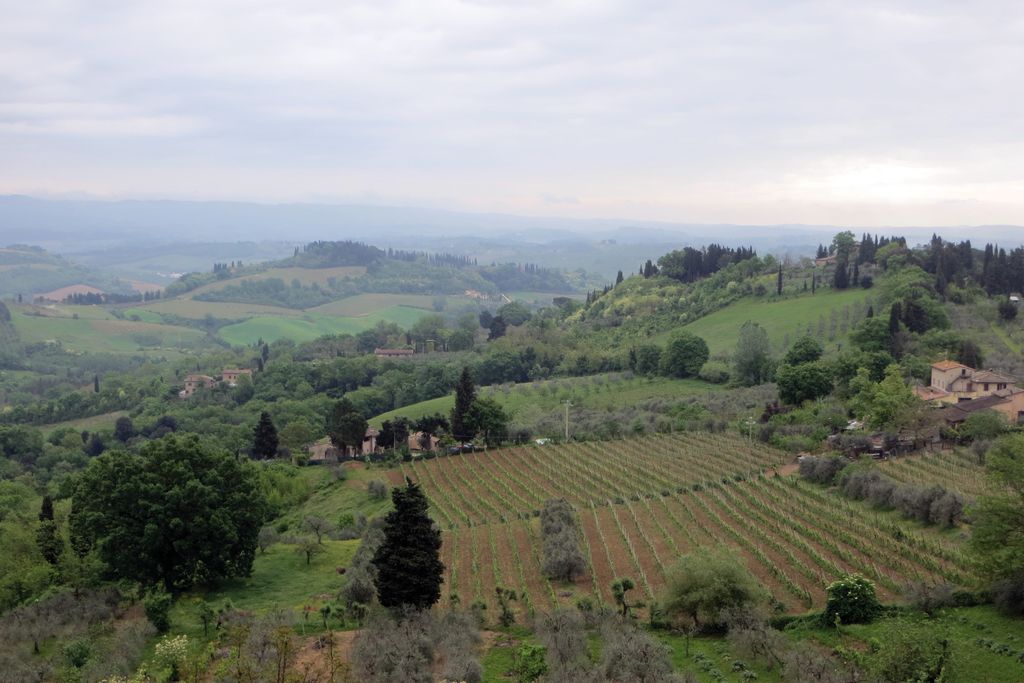 colline Toscane