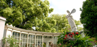 Fioritura delle camelie 2026: riapre a Pegli il Parco di Villa Durazzo Pallavicini