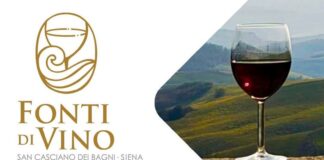Fonti di Vino: un weekend tra calici di vino e acque termali (in camper)