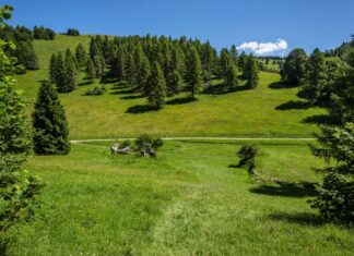Sentieri e piste ciclabili: il paradiso dell’Alpe Cimbra al Camping Sole Neve