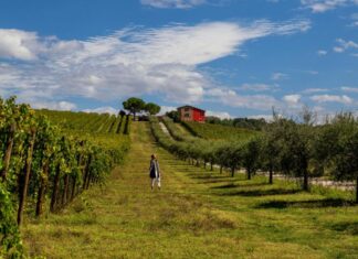 Estate in Umbria in camper
